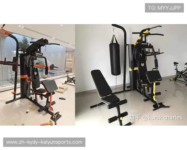 家里用的健身器材:家用健身器材的种类、功能与使用推荐 家里用的健身器材:家用健身器材的种类、功能与使用推荐
