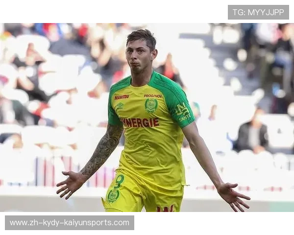 法甲外援情况全面解析与引援效果评估 法甲外援情况全面解析与引援效果评估